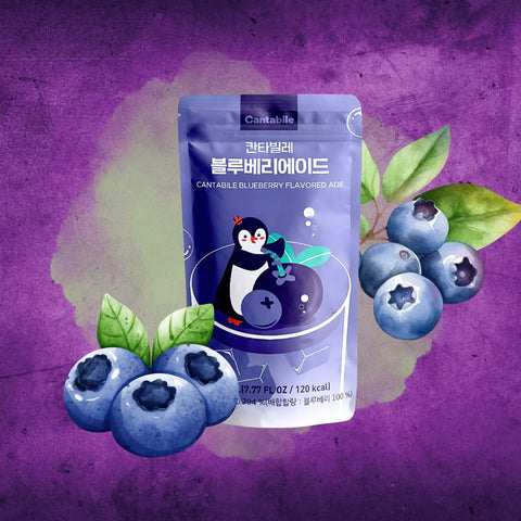 CANTABILE Blueberry Ade Beutelgetränk 230ml