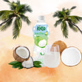 KATO Kokoswasser mit Nata De Coco 320 ml