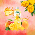KATO Mangosaft mit Nata De Coco 320 ml